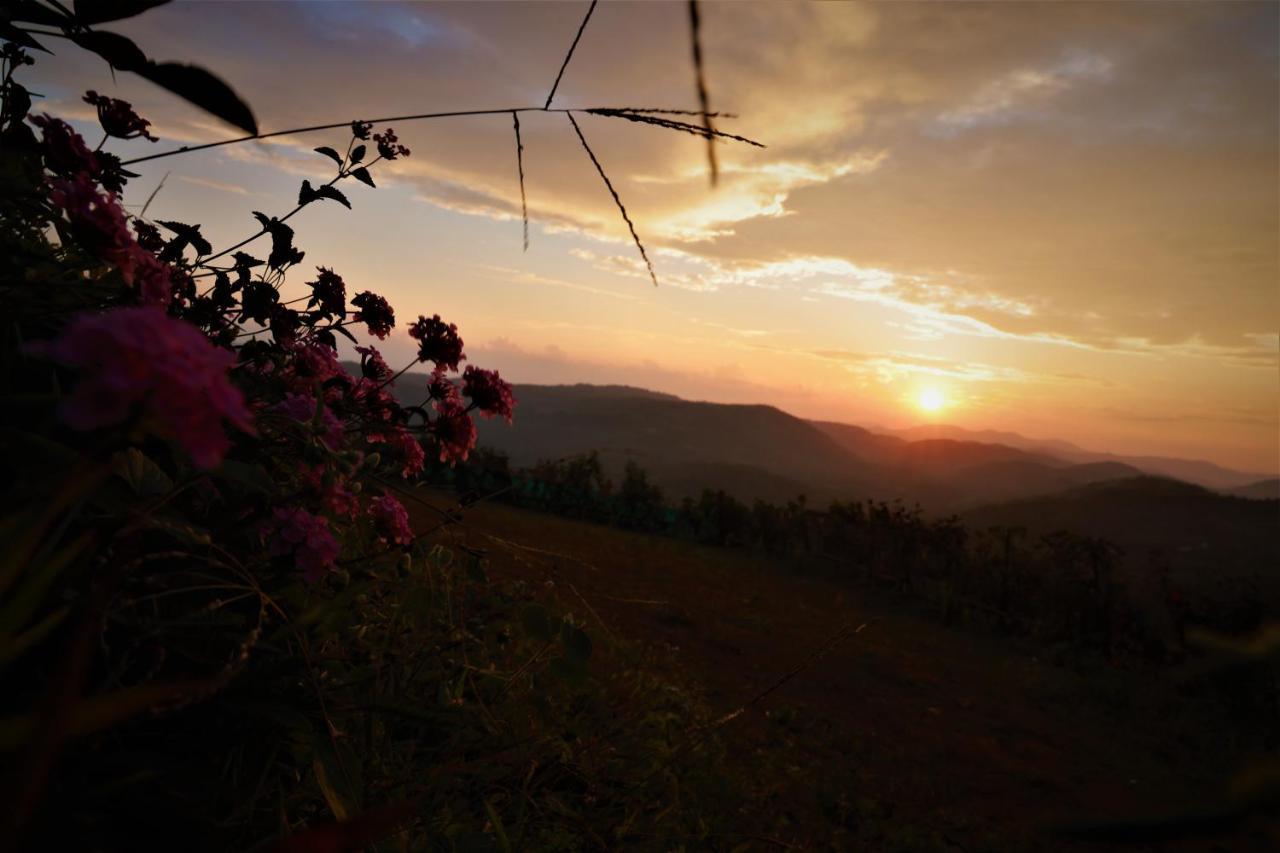 Peakaavu Cottages Idukki Luaran gambar