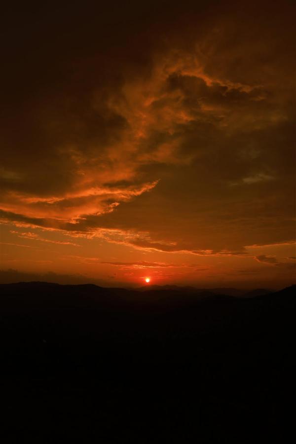 Peakaavu Cottages Idukki Luaran gambar