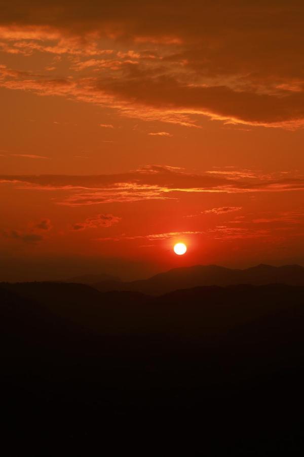Peakaavu Cottages Idukki Luaran gambar